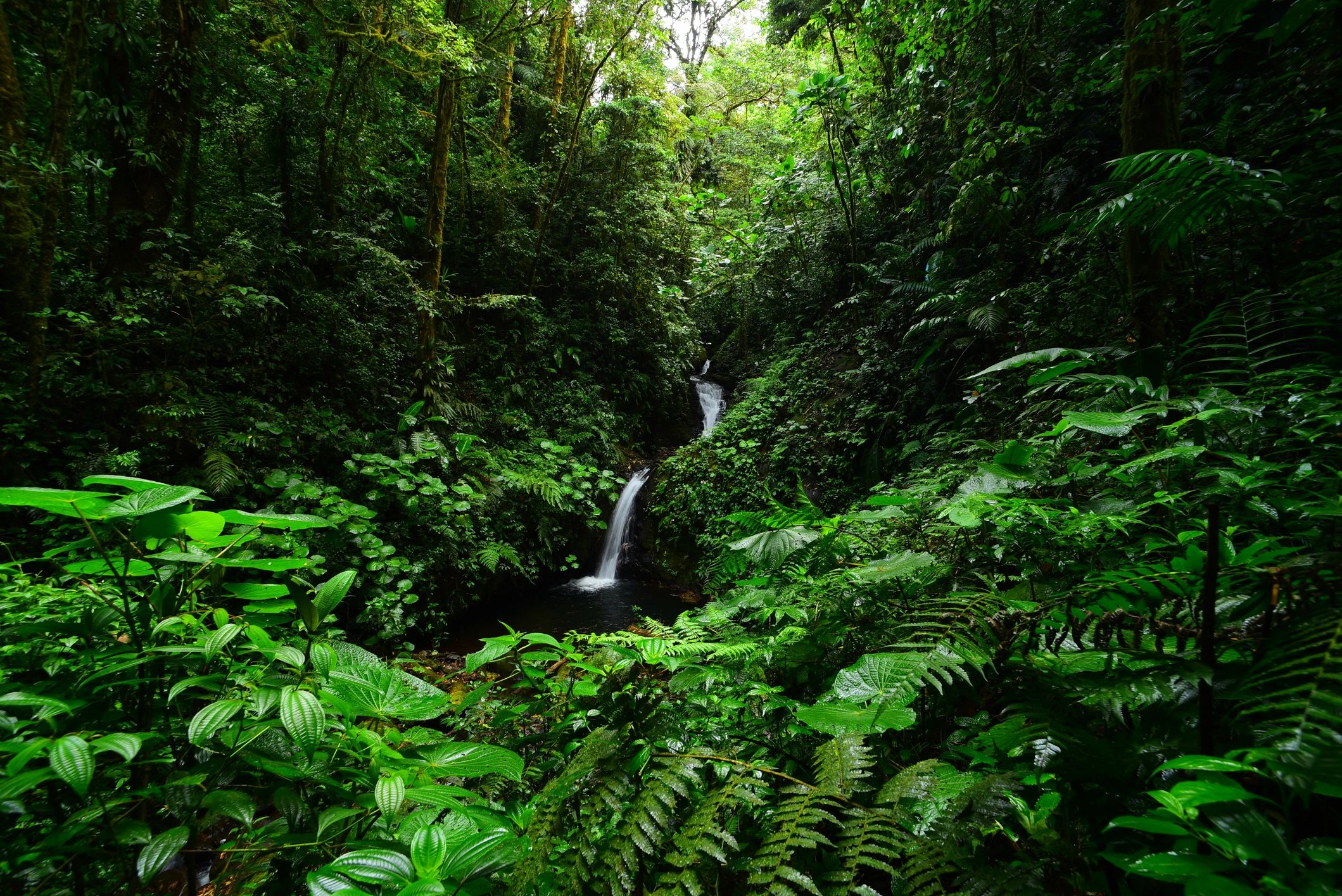 Lush rainforest waterfall in Costa Rica, representing the region’s natural beauty