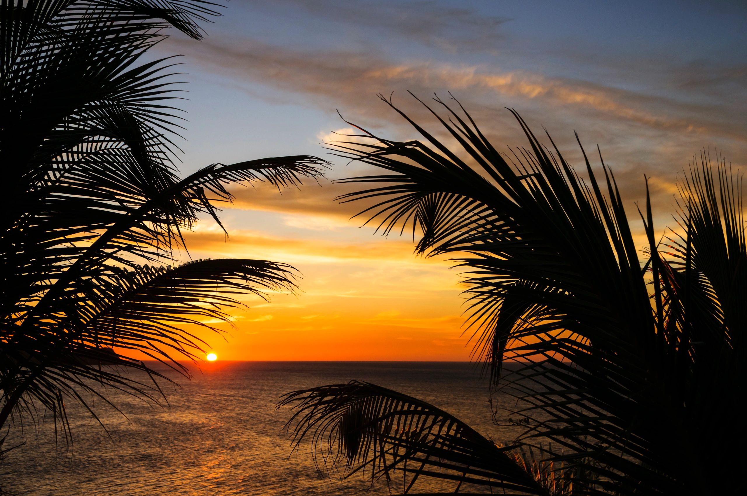 Sunset framed by palm leaves on Costa Rica’s Pacific coast