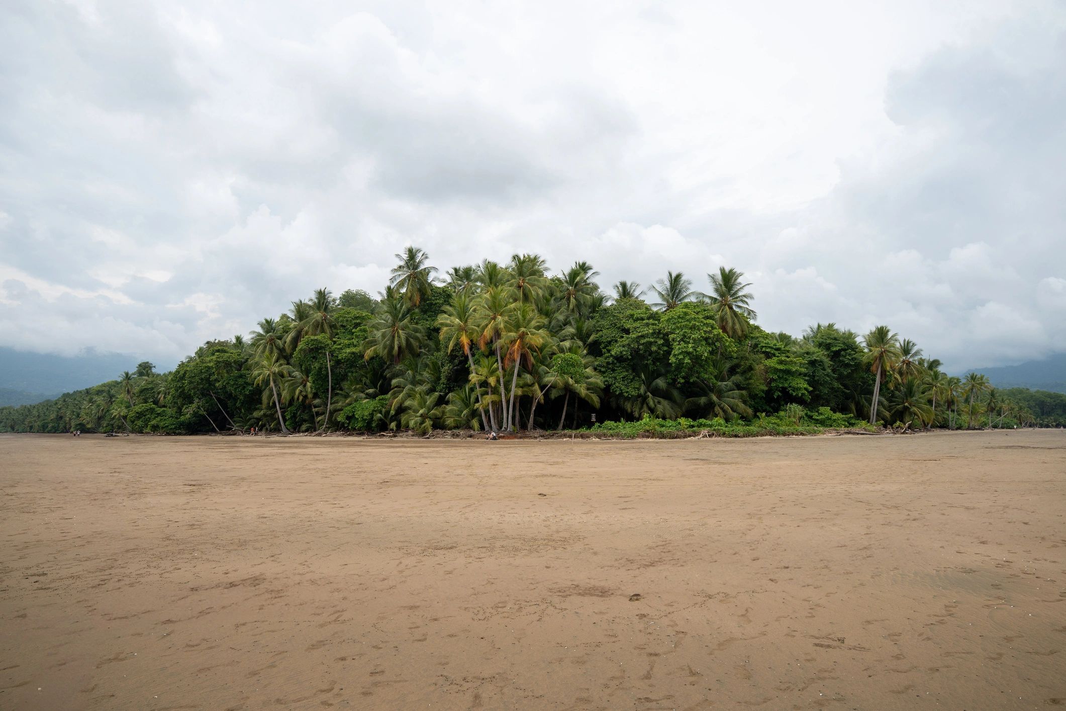 Tropical shoreline backed by rainforest in Costa Rica