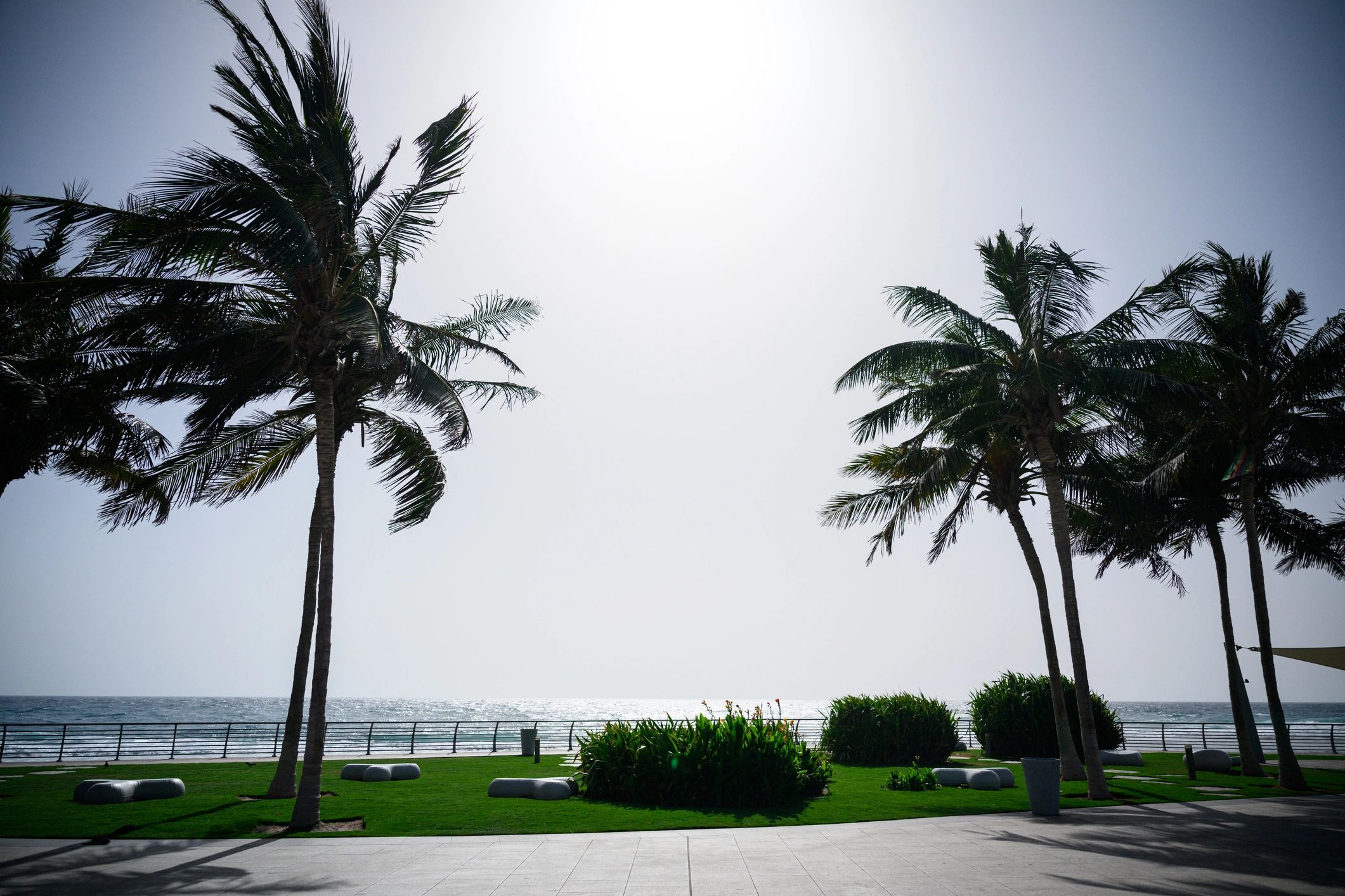 Palm-lined coastal promenade with ocean views